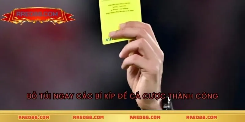 Bỏ túi ngay các bí kíp để cá cược thành công