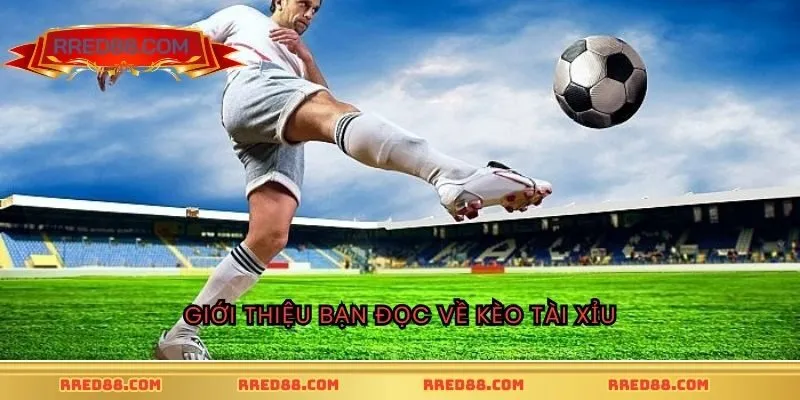 Giới thiệu bạn đọc về kèo tài xỉu