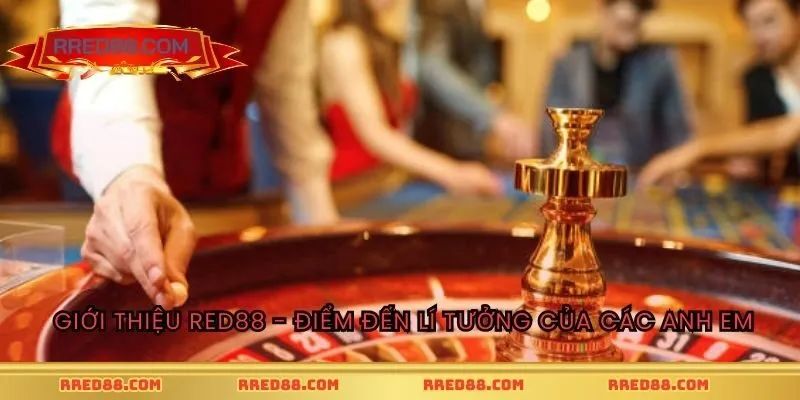 Giới Thiệu RED88 - Điểm đến lý tưởng của các anh em
