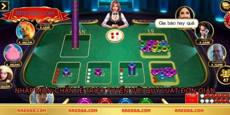 Nhập môn chẵn lẻ trực tuyến với quy luật đơn giản