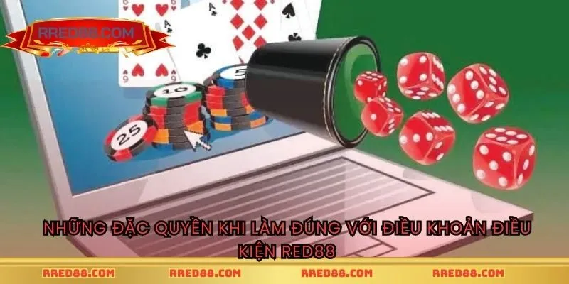 Những đặc quyền khi làm đúng với điều khoản điều kiện RED88