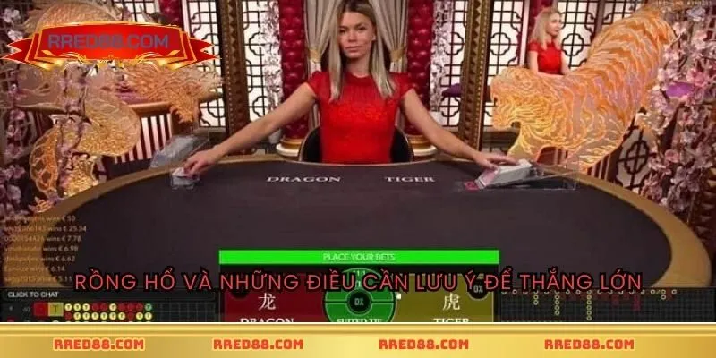 Rồng Hổ RED88 và những điều cần lưu ý để thắng lớn