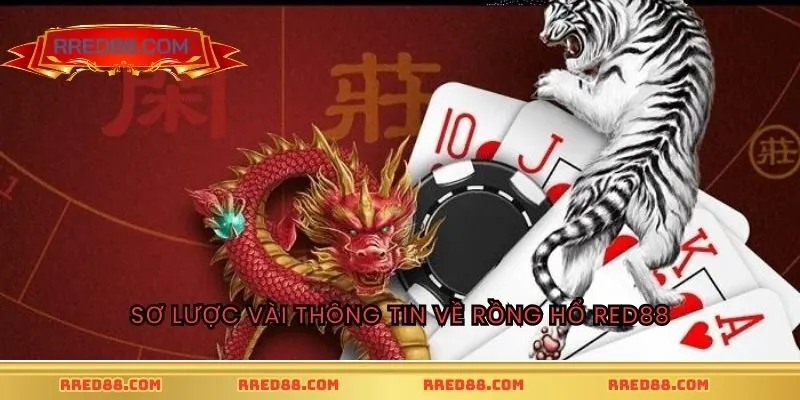 Sơ lược vài thông tin về Rồng Hổ RED88