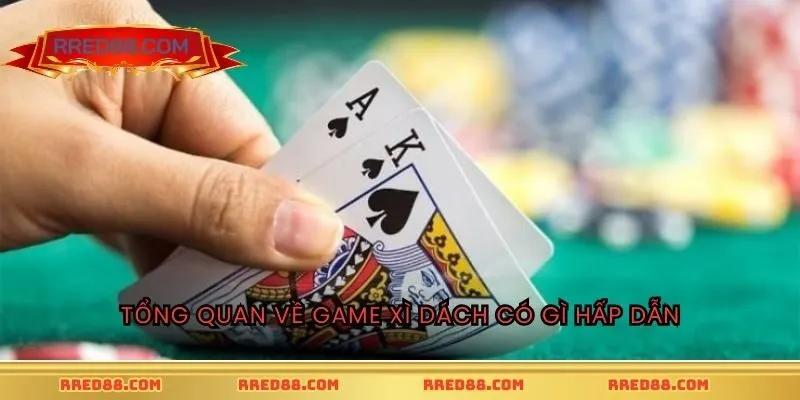 Tổng quan về game xì dách có gì hấp dẫn