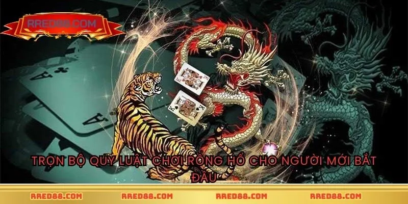 Trọn bộ quy luật chơi Rồng Hổ cho người mới bắt đầu