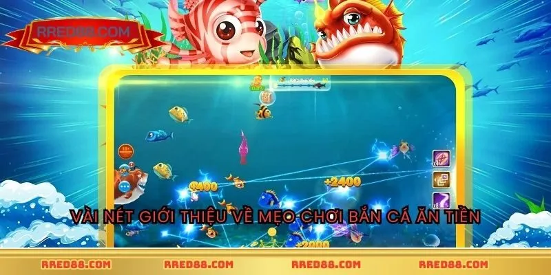Vài nét giới thiệu về mẹo chơi bắn cá ăn tiền