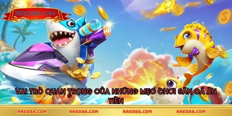 Vai trò quan trọng của những mẹo chơi săn cá ăn tiền